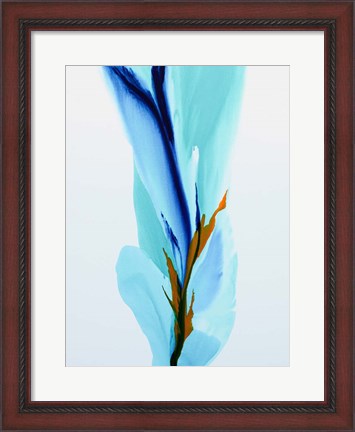 Framed Spring&#39;s Calling Card Print