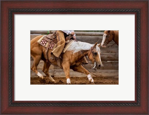 Framed Cutting Horses Print