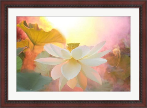 Framed Arise Print