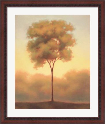 Framed Solitude III Print