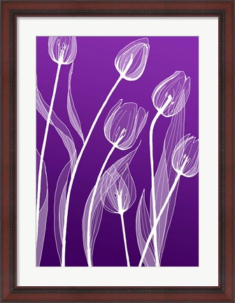 Framed X-ray Flowers Purple Print