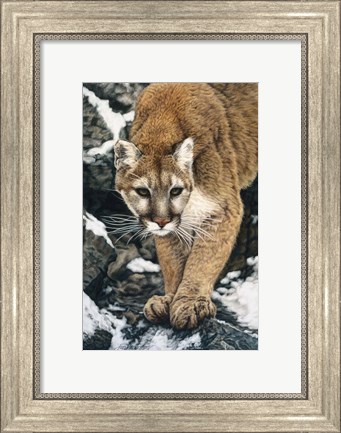 Framed Silent Approach Print