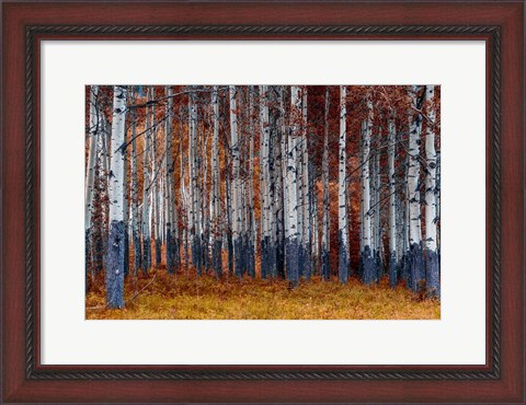 Framed Autumn Forest Print