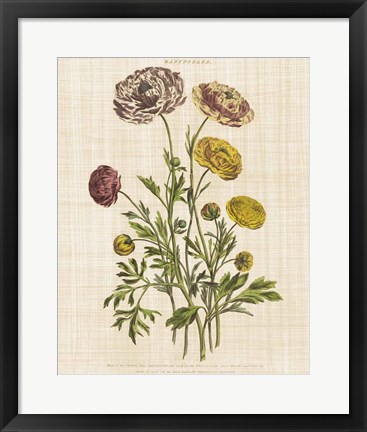 Framed Herbal Botany XXII v2 Linen Crop Print