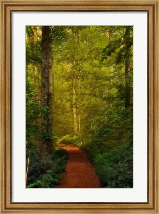 Framed Fairytale Path Print