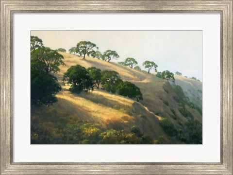 Framed Afternoon Shadows Print