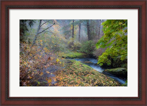 Framed Snow in Fall Print