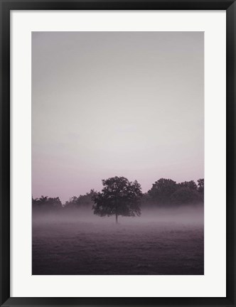 Framed Purple Light 2 Print