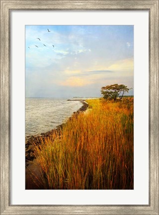 Framed Morning Has Broken Print