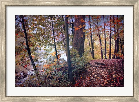 Framed Season of Colors Print