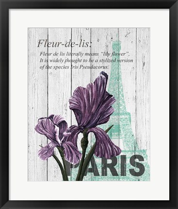 Framed Paris Iris Print