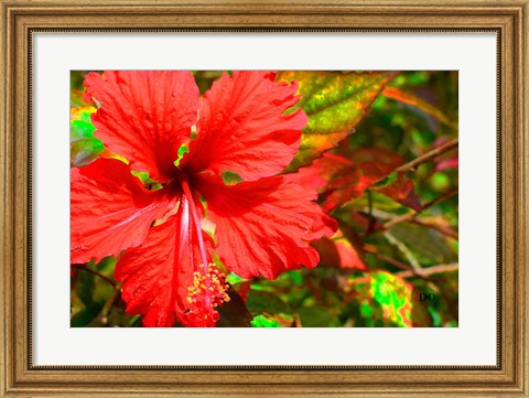 Framed Red Hibiscus Print