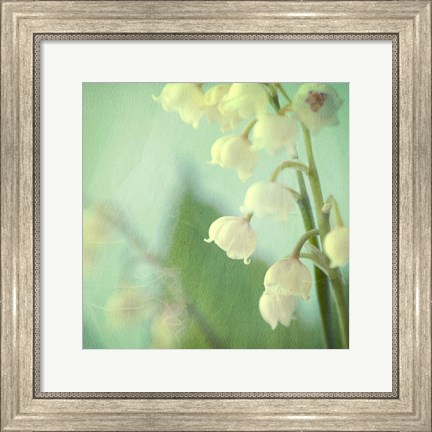 Framed Lily of the Valley Print