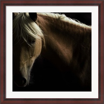 Framed Spirit Horse Print