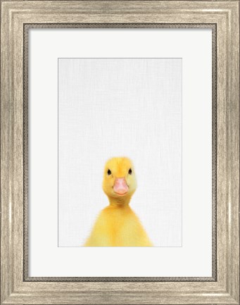 Framed Duck Print