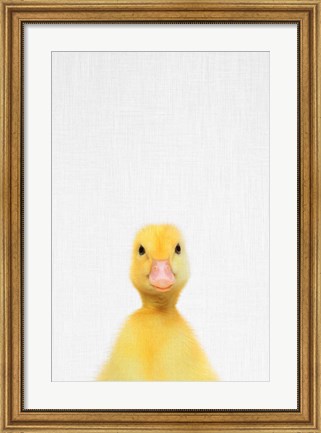 Framed Duck Print