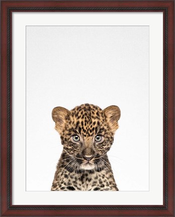 Framed Leopard Print