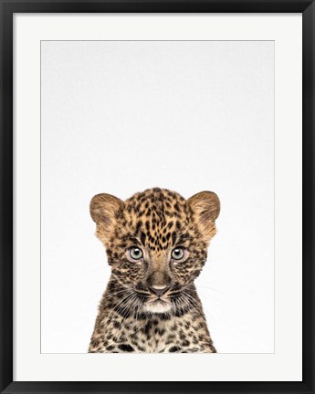 Framed Leopard Print