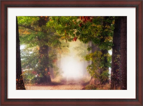 Framed Fall Colors Print