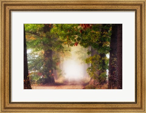 Framed Fall Colors Print