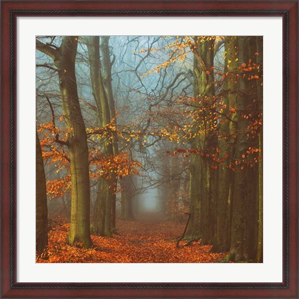 Framed Path of The Mystics Print