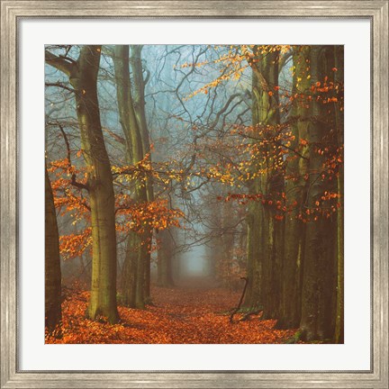 Framed Path of The Mystics Print