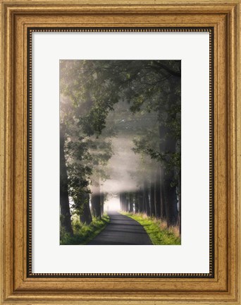 Framed Rays of Fog Print