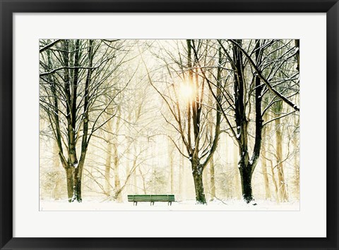 Framed Too Cold To Sit Print