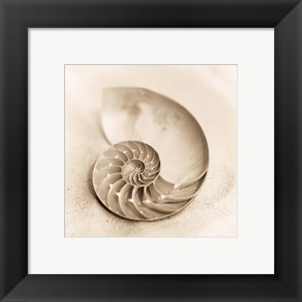 Framed Il Oceano No. 4 Print