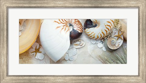 Framed Island Tide Pool No. 8 Print