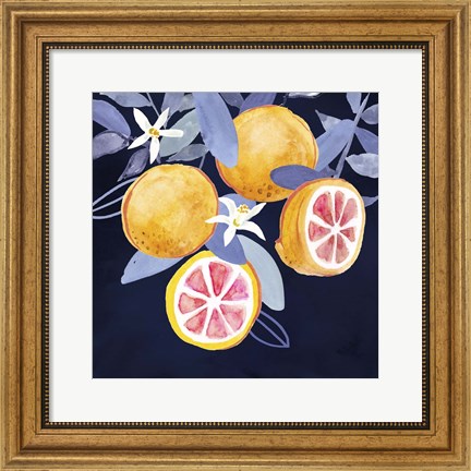 Framed Fresh Fruit III Print