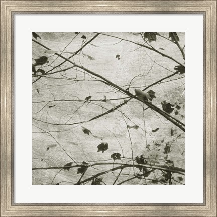 Framed Laced Sky IV Print