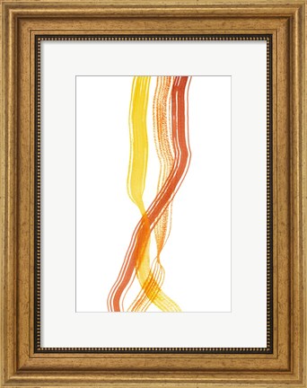 Framed Ribboned IV Print