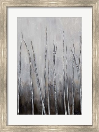 Framed Bare Tree Tops I Print