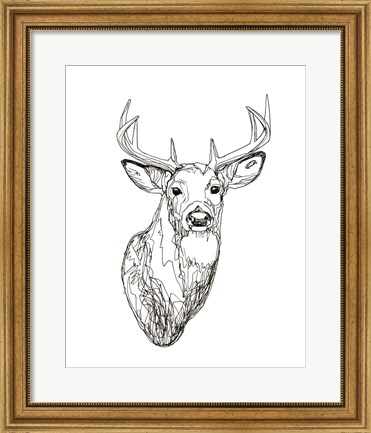 Framed Whitetail Wireframe I Print