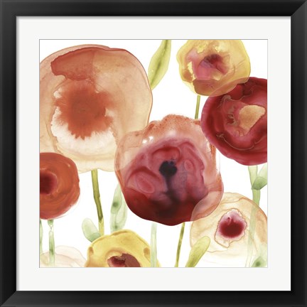 Framed Poppy Patch II Print