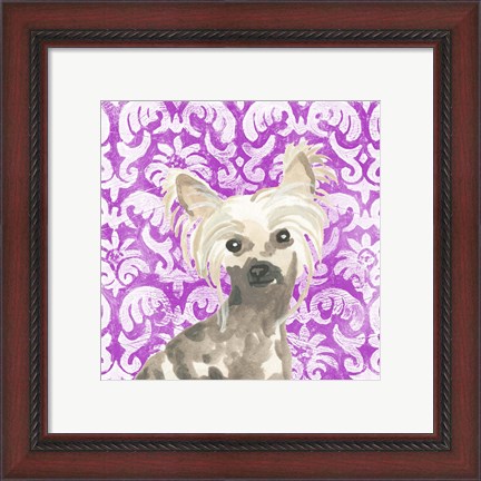 Framed Parlor Pooches IX Print