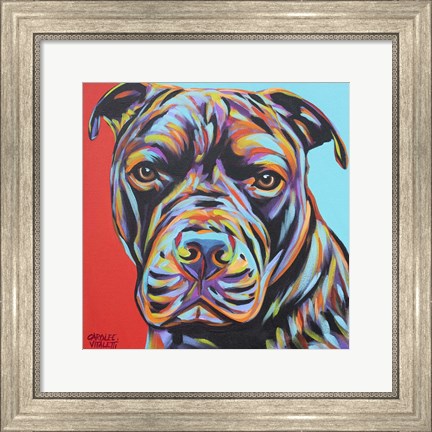 Framed Canine Buddy III Print