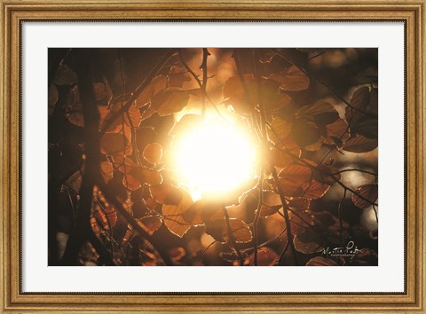 Framed Into the Sun Print