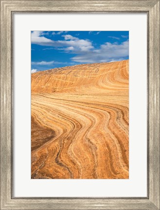 Framed Coyote Buttes V Print