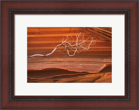 Framed Coyote Buttes III Print