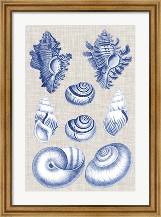 Framed Navy &amp; Linen Shells IV Print