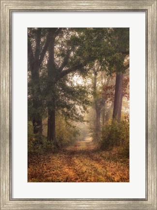 Framed Autumn&#39;s Walk I Print