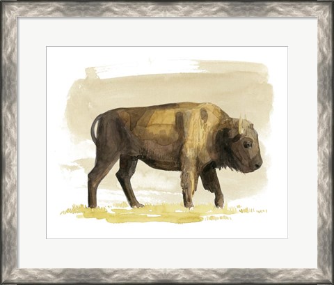 Framed Bison Watercolor Sketch I Print