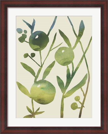 Framed Spring Sprig IV Print