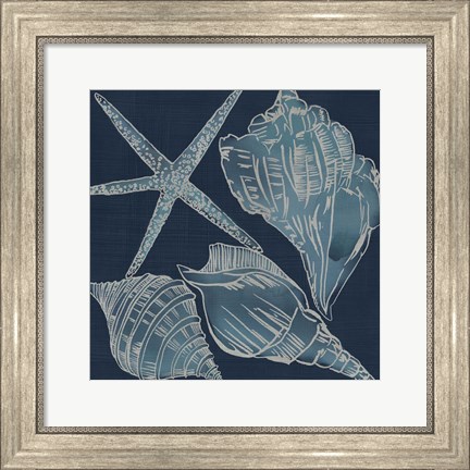 Framed Marine Shells III Print