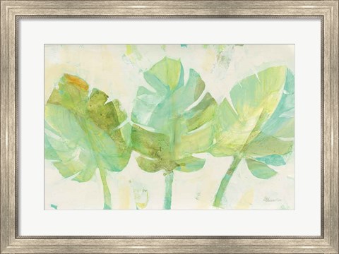 Framed Tropical Trio Print