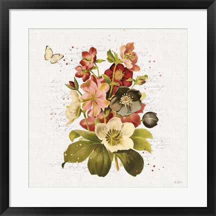 Framed Vintage Petals VI Print