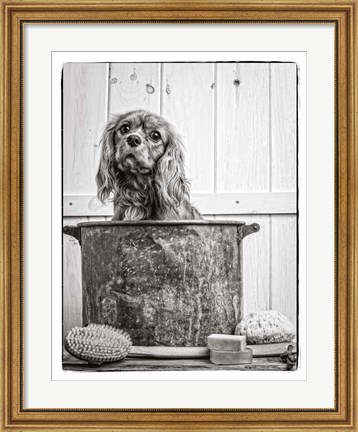 Framed Vintage Puppy Bath Print