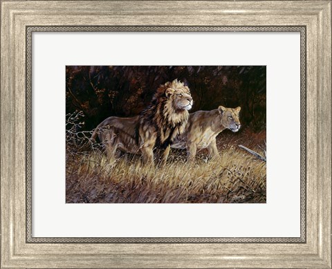 Framed Lions Print